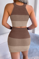 Color Block Sleeveless Crop Knit Top and Skirt Set - SHE BADDY© ONLINE WOMEN FASHION & CLOTHING STORE