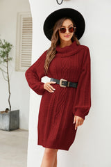 Mixed Knit Turtleneck Lantern Sleeve Sweater Dress - SHE BADDY© ONLINE WOMEN FASHION & CLOTHING STORE