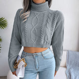 Mixed Knit Turtleneck Cropped Sweater - SHE BADDY© ONLINE WOMEN FASHION & CLOTHING STORE