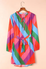 Multicolored Tie-Waist Pleated Balloon Sleeve Dress - SHE BADDY© ONLINE WOMEN FASHION & CLOTHING STORE