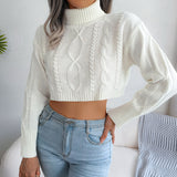 Mixed Knit Turtleneck Cropped Sweater - SHE BADDY© ONLINE WOMEN FASHION & CLOTHING STORE