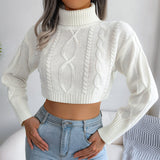 Mixed Knit Turtleneck Cropped Sweater - SHE BADDY© ONLINE WOMEN FASHION & CLOTHING STORE