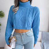 Mixed Knit Turtleneck Cropped Sweater - SHE BADDY© ONLINE WOMEN FASHION & CLOTHING STORE