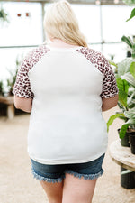 Plus Size Mixed Print Contrast Tee Shirt - SHE BADDY© ONLINE WOMEN FASHION & CLOTHING STORE