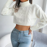 Mixed Knit Turtleneck Cropped Sweater - SHE BADDY© ONLINE WOMEN FASHION & CLOTHING STORE